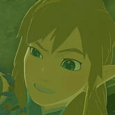 link - totk/botw