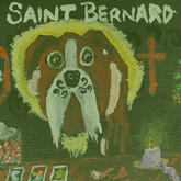 saint bernard - lincoln